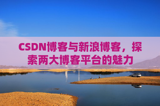 CSDN博客与新浪博客，探索两大博客平台的魅力